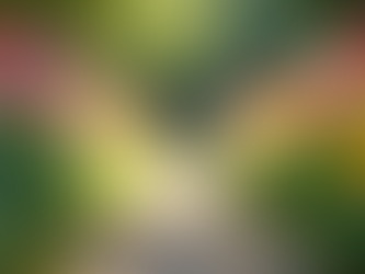 Simple Strategies to Support Motor Symptoms in FND for Everyday Life