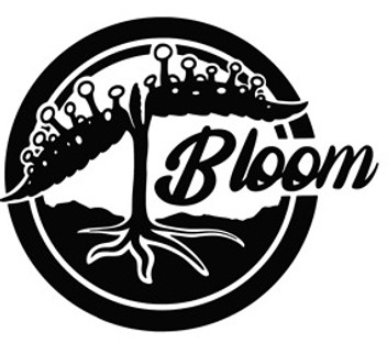 Bloom-Logo-Cursive-1_edited.jpg