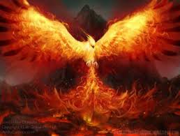 Phoenix Feu