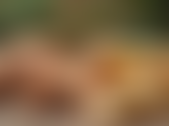 Your Guide to Buying Natural Dog Chews Online