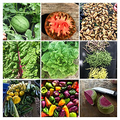 IMG_0544-COLLAGE.jpg