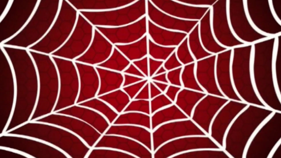 xx toff decor spiderman toille0.jpg