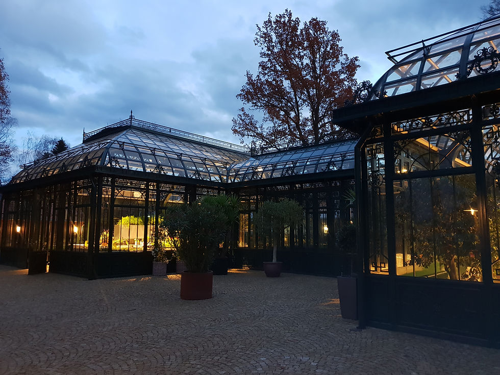 Luxury Glass Orangery