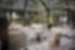 LUXURY ORANGERY