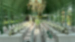 Luxury Orangeries Events