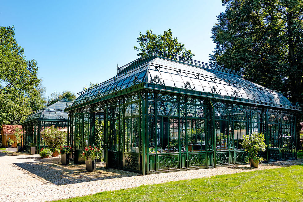 Luxury event orangerie for REDBULL