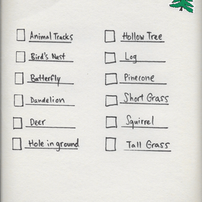 Youth Fitness Scavenger Hunt!