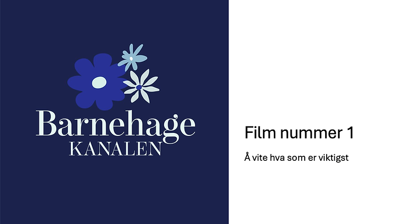 Startplakat_film 1_til bhgansatte.png