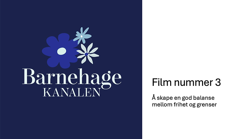 Startplakat_film 3_til bhgansatte.png
