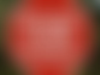 Hipoclorito de sódio