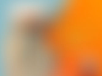 Remoção de pino metálico com o ultrassom - post revisado.