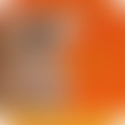 PERNIL DE CARNEIRO AO VINHO