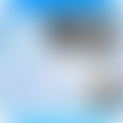 Utilizando o Pro R da MK Life e obturando com o Gutta Fusion