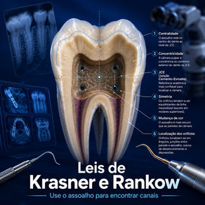leis Krasner rankow