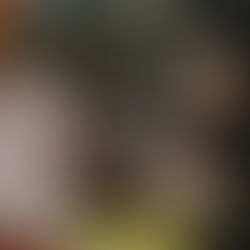 The Year Outdoor Racquetball Was And World Outdoor Racquetball Wasn't