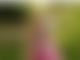 Pelucas de cuento convierten a las niñas con cáncer en princesas en Guatemala