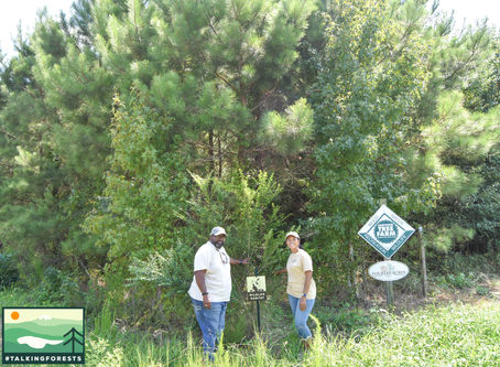 Getting to Know Our ForestHers: Edna Williams