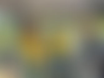 Learning About Burning: A Photo Story