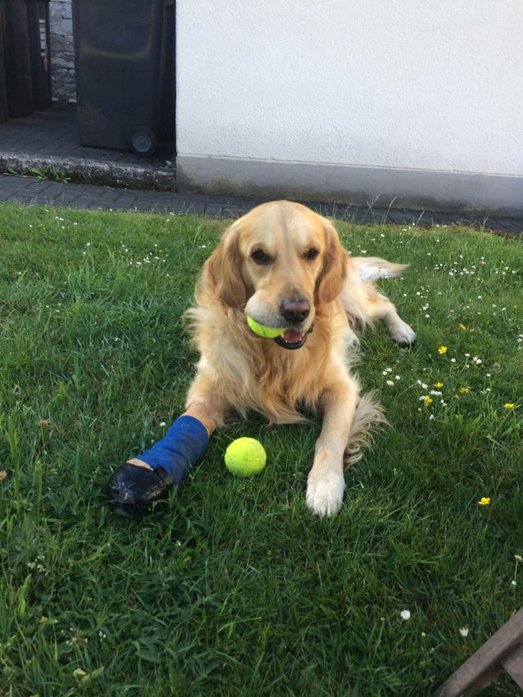 Balljunkie wenn aus Spaß eine Sucht wird
