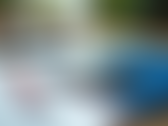 Cómo obtener una visa americana exitosa en Colombia