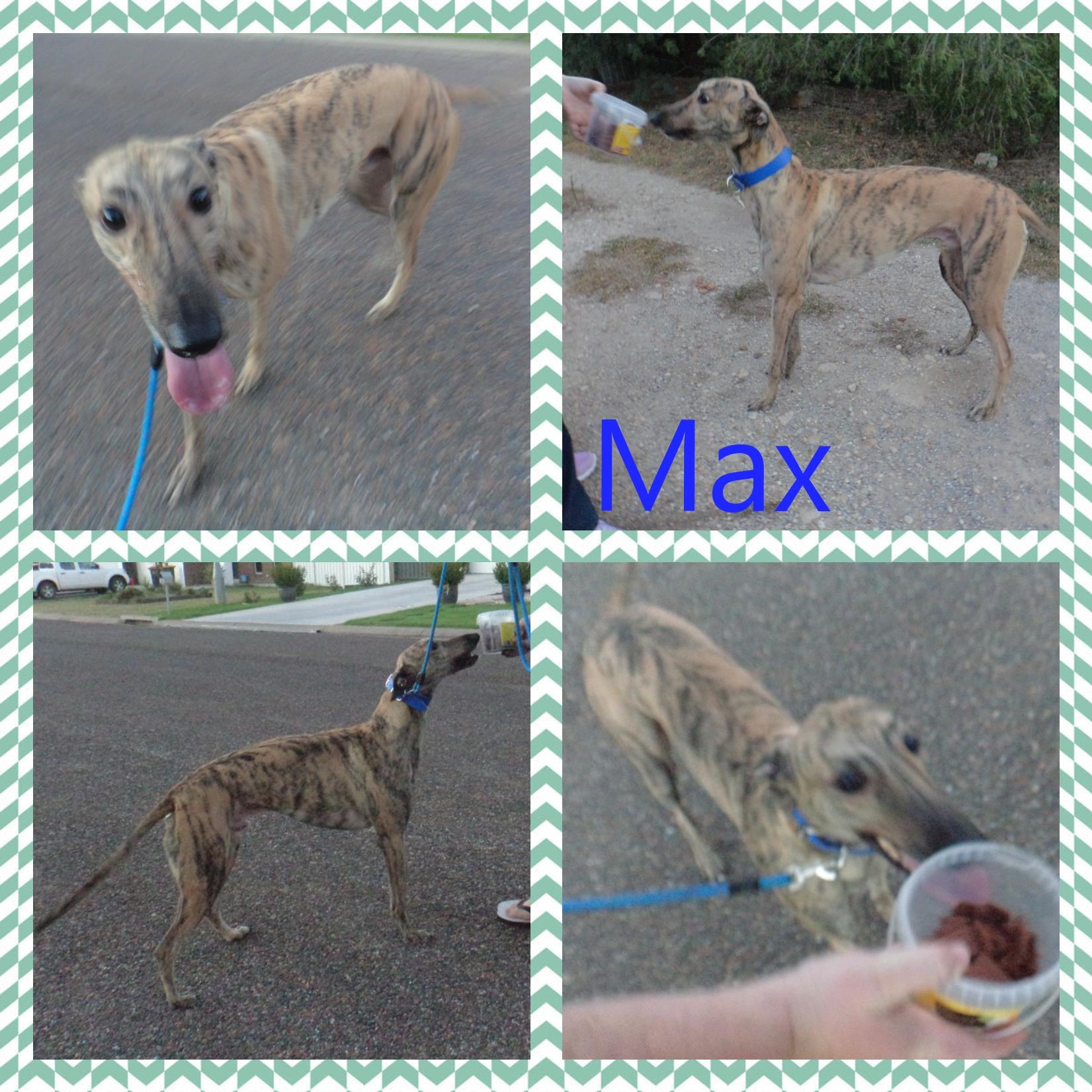 Max