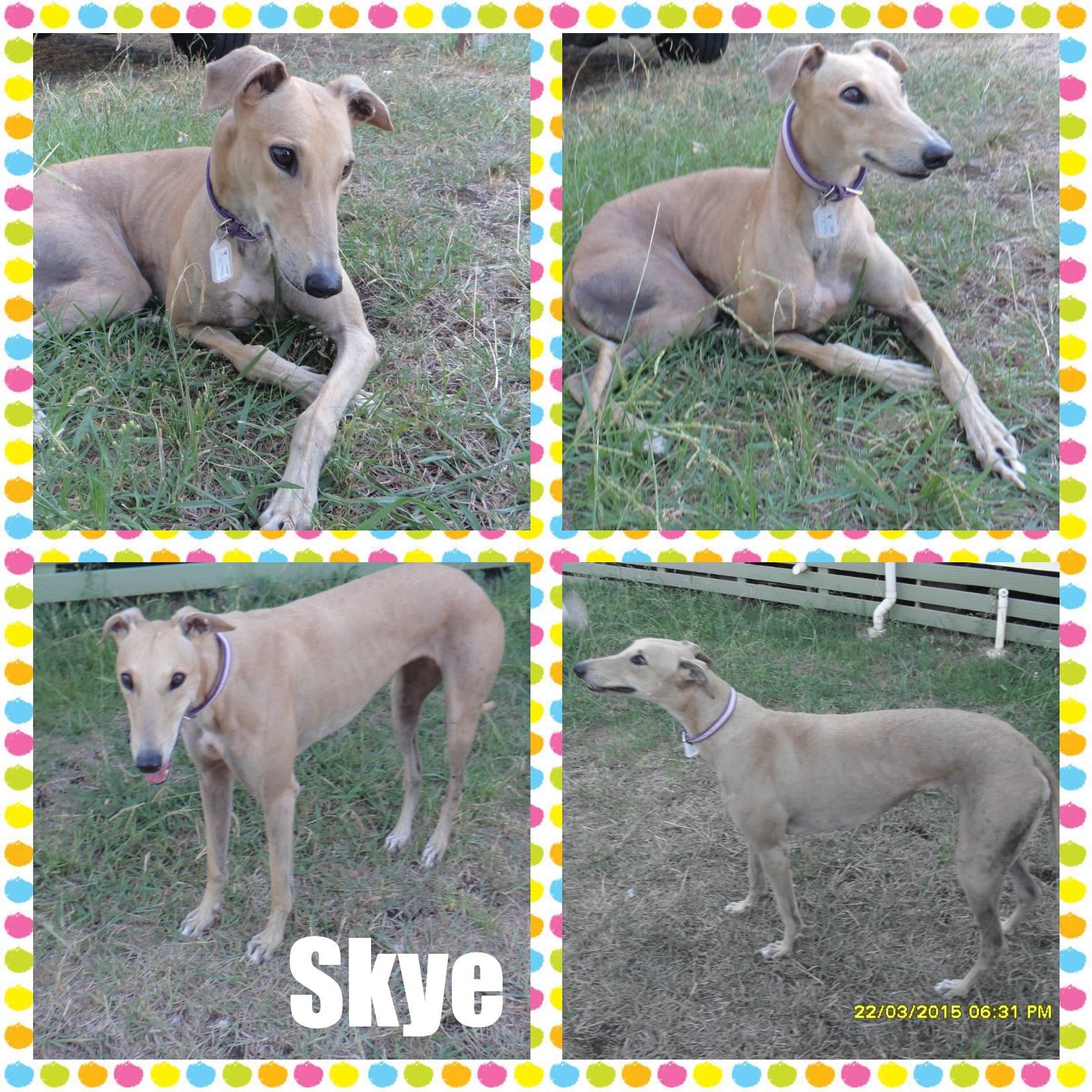 Skye