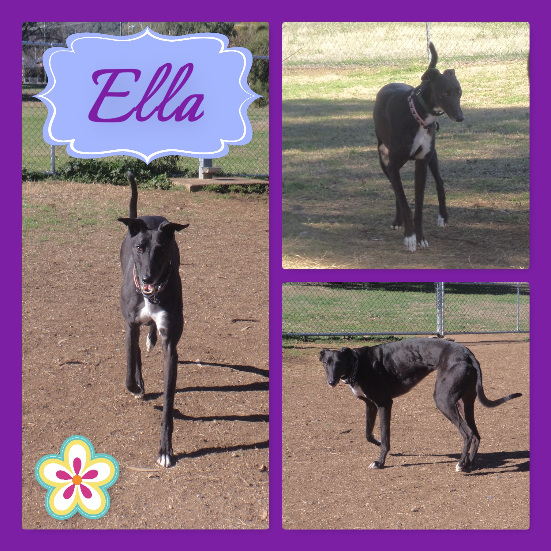 Ella