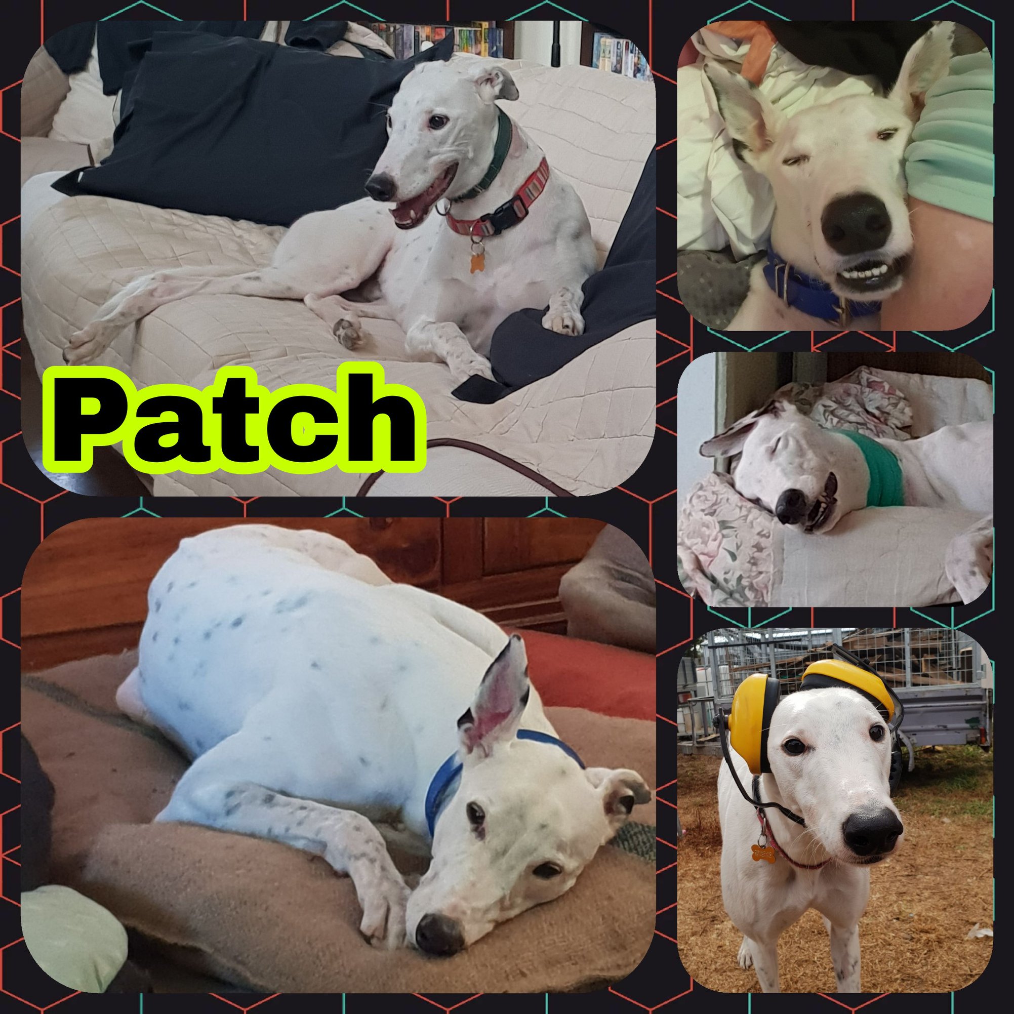 Patch