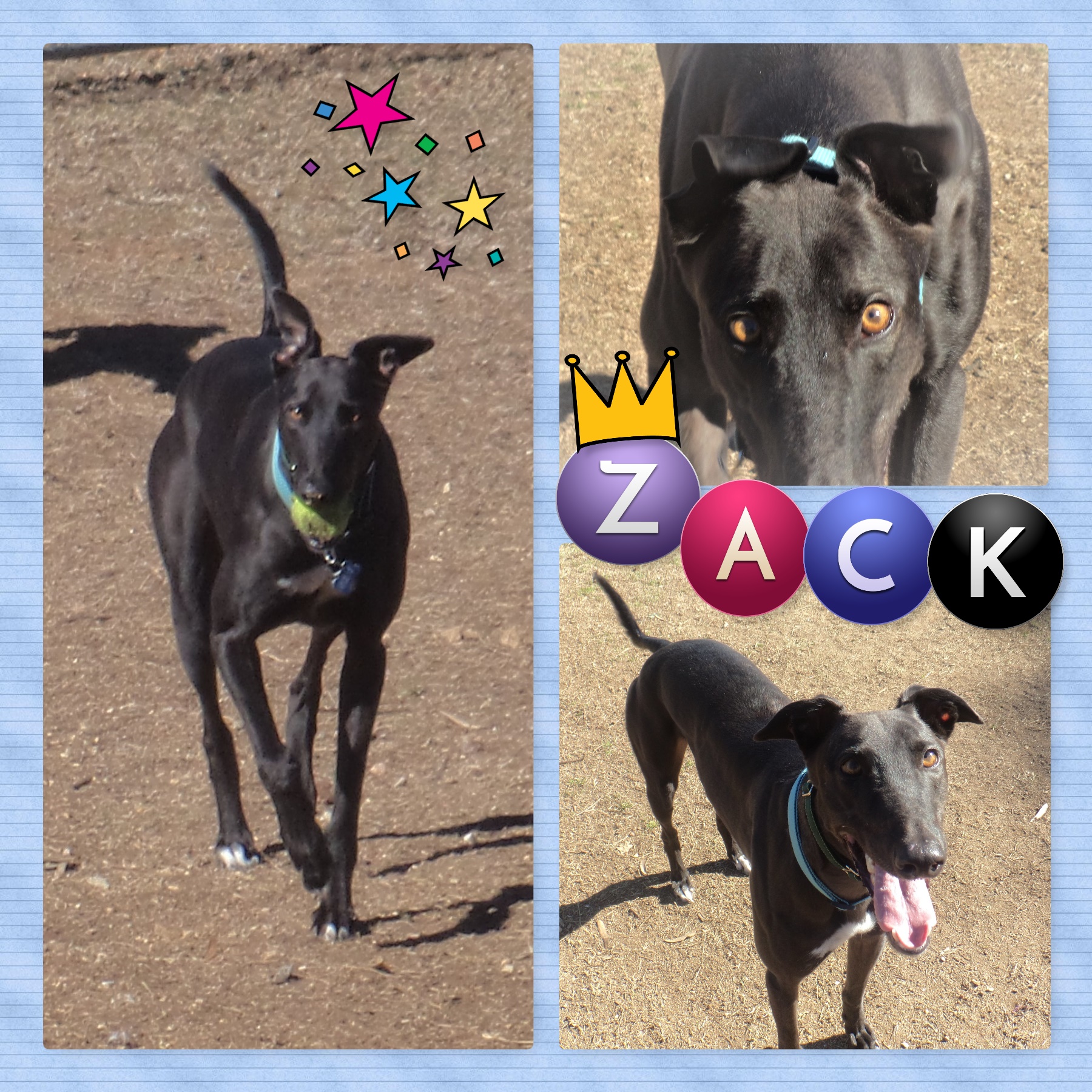Zack
