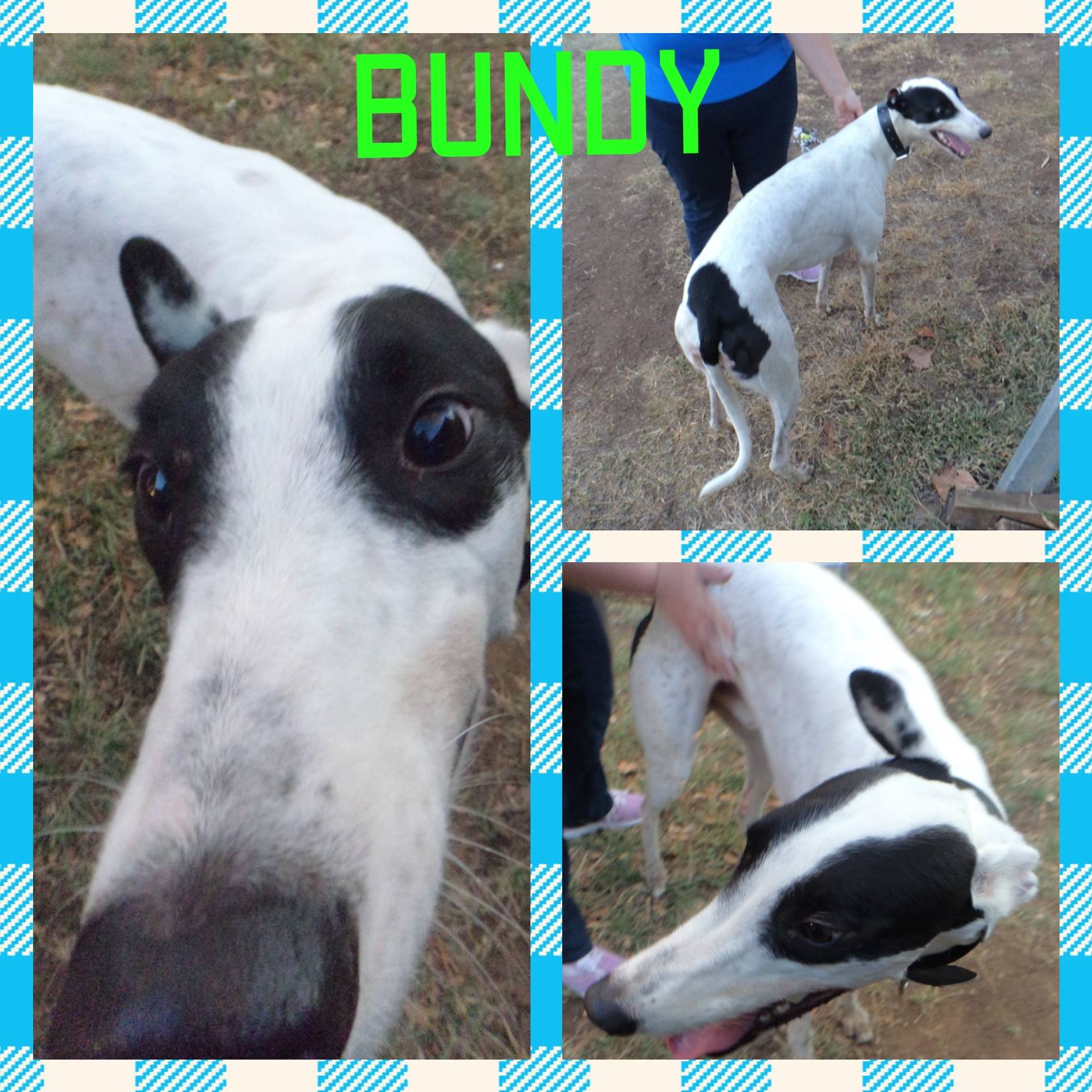 Bundy