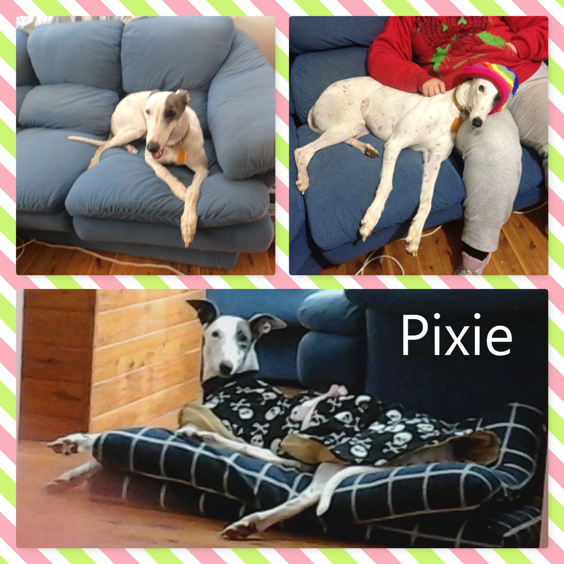 Pixie