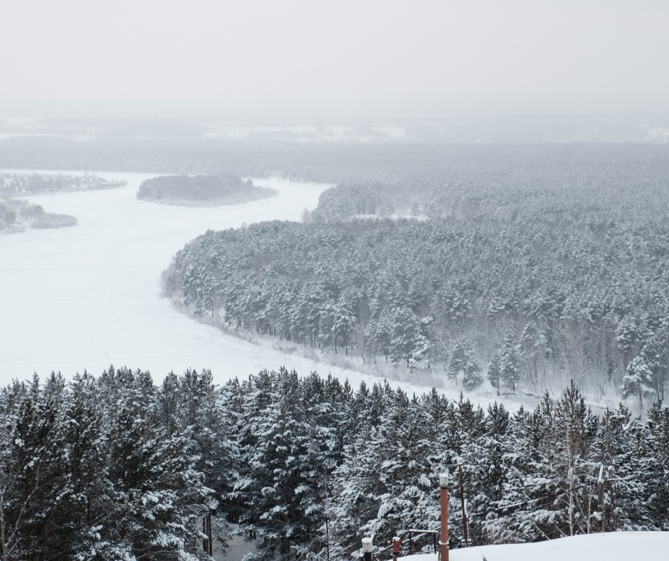 Taiga - el bosque de Siberia content media