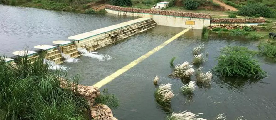 धौलपुर की भूमि का पुनर्जीवित करना | Impact of Check-Dams on Water Availability and Reverse Migration