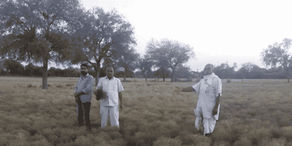 Three men stand in a dry field with trees; Hindi text asks if a net-like crop can be grown in barren land.