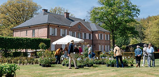 AM__DSC2235.jpg