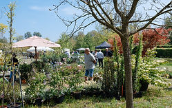 AM__DSC2372.jpg