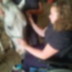 Develop horsemanship skills