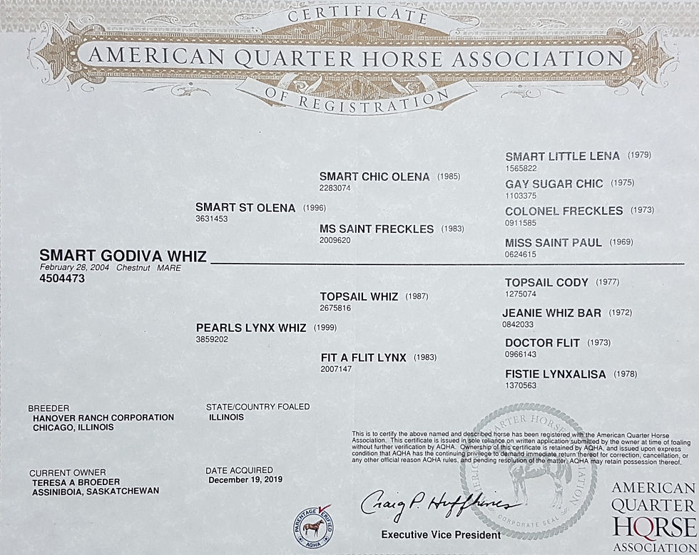 Smart Godiva Whiz