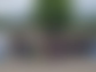 Dimanche 09 juillet, c'était la Dom's Day II