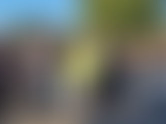 AMOTO à la Lydie's Day