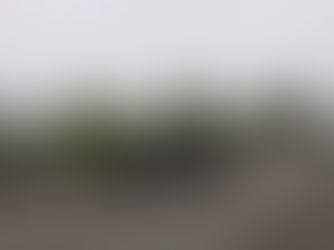 Le dimanche 8 mai, c'était la Dom's Day