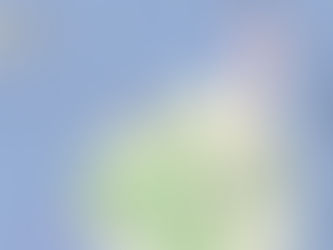 AMOTO en Corse juin 2022
Le Road Trip de nos 10 ans ! Partie 2