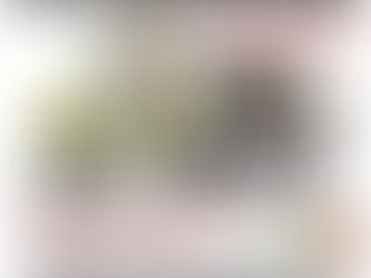 AMOTO au Festival Motos Anciennes à Bain sur Oust