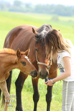 Schiavone Ok & Slave To Love Cal