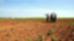 agricultores_campo_2.jpeg