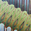 Thumbnail: Absolute Past//Absolute Future (24”x36”)