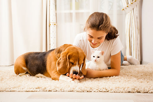 pets kid.jpeg
