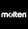 molton vb logo.png