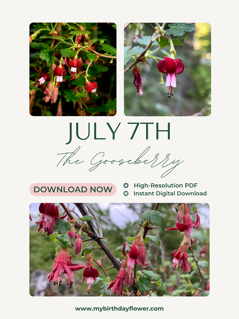 A digital download mockup of the "July 7th - The Gooseberry" birth flower print, featuring vibrant green and red gooseberry