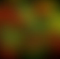 Vibrant red and yellow zinnias in a lush garden setting with green foliage. Bright and colorful, evoking a lively summer mood.